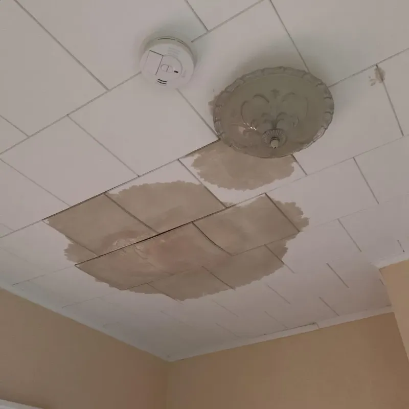 Ceiling Water Damage Repair in Lexington, MI